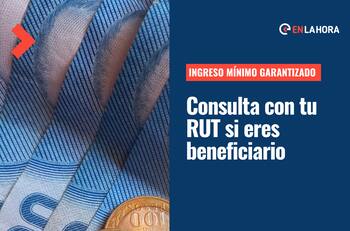 Ingreso Mínimo Garantizado: ¿Cómo saber con mi RUT si soy beneficiaria de este subsidio?