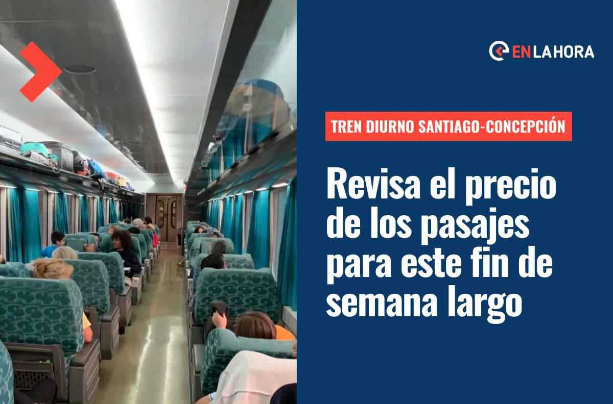 Tren Diurno Santiago-Concepción funcionará este fin de semana largo: Revisa el precio de los pasajes y horarios de viajes
