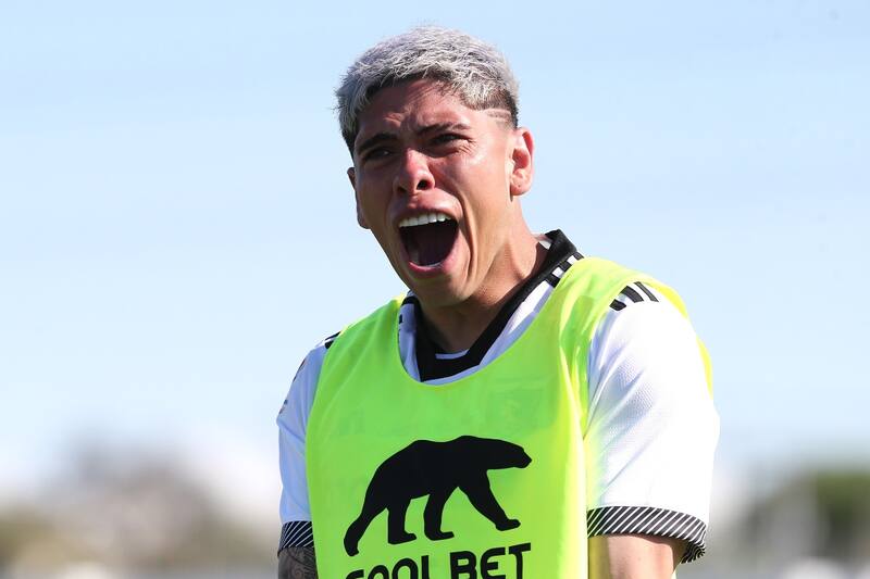 en el partido de Colo Colo contra Palestino en La Cisterna. Foto: Aton.