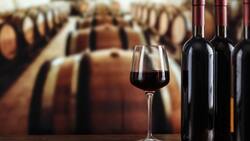 Salen a remate bienes de reconocida Viña chilena tras declararse en quiebra