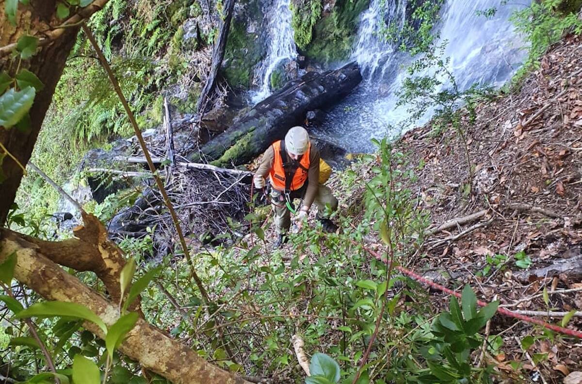 Sobrevivió comiendo raíces y tomando agua de riachuelo: el relato de salvación de enfermera perdida en Peulla