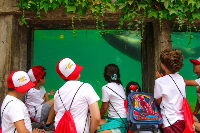 Con una cartelera llena de divertidas actividades para los más pequeños de la casa cuenta el Summer Camp de Parque Aventura.