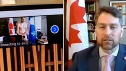 Parlamentario apareció desnudo en sesión por Zoom