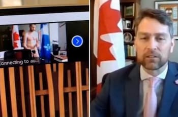 Parlamentario apareció desnudo en sesión por Zoom
