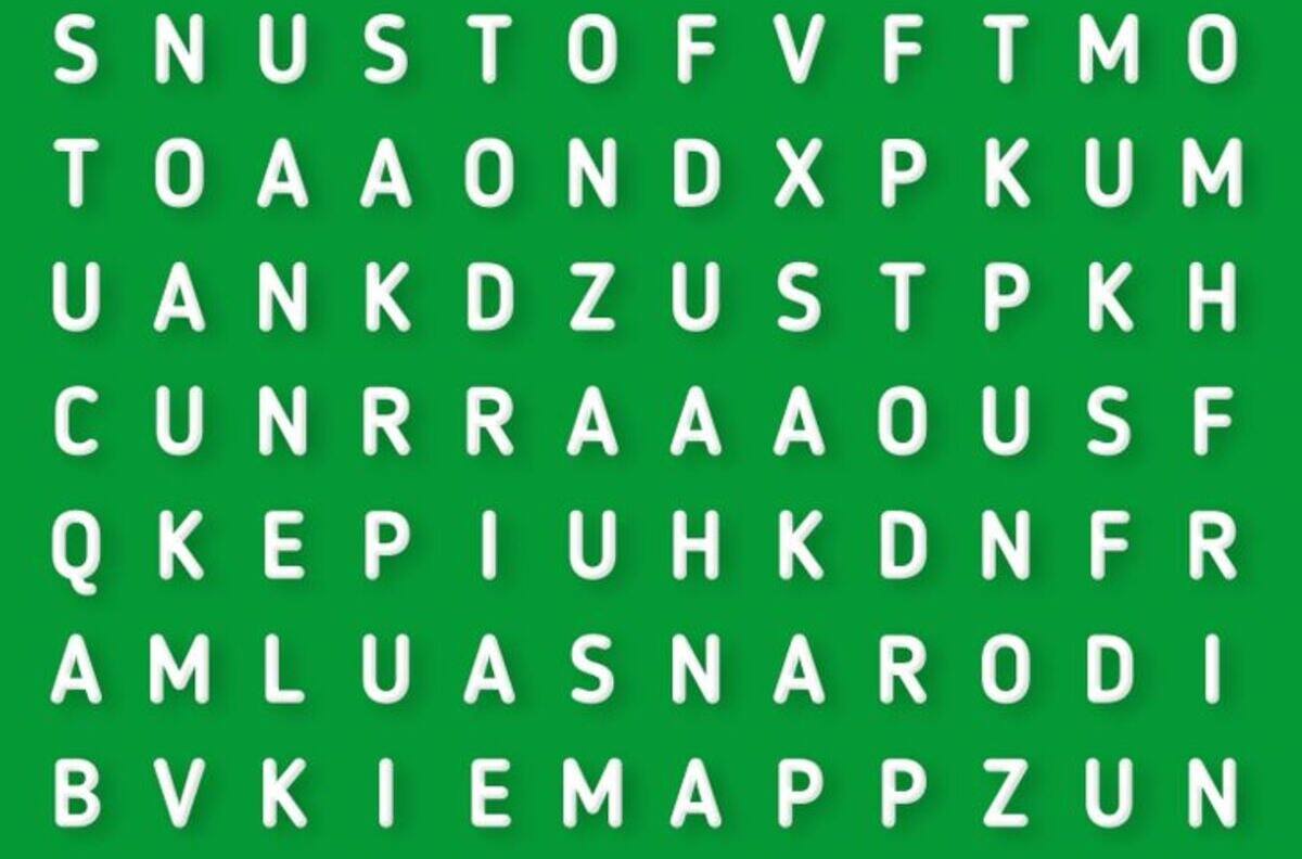 Test Visual: ¿Eres capaz de encontrar la palabra SONRISA oculta en la imagen en solo 10 segundos?