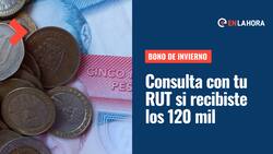 Bono 120 mil: Consulta con tu RUT si tienes pendiente el pago del Bono Chile Apoya de Invierno