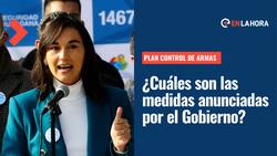 Plan control de armas: ¿De qué trata y qué tipo de medidas se anunciaron contra esta problemática?