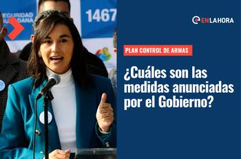 Plan control de armas: ¿De qué trata y qué tipo de medidas se anunciaron contra esta problemática?