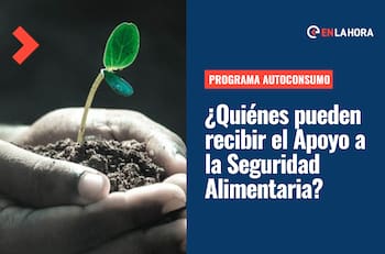 Programa Autoconsumo: ¿En qué consiste el programa de Apoyo a la Seguridad Alimentaria?