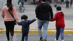 Revisa con tu RUT si te corresponde el Subsidio Familiar Automático de $21.000 mensuales