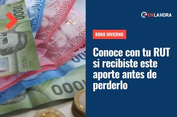 Bono Invierno: Revisa con tu RUT si recibiste este beneficio y cómo cobrarlo antes de que vuelva al fisco