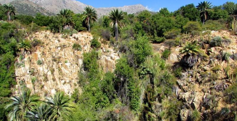 Descubre sus horarios, precios y cómo llegar.