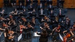 Disfruta de conciertos gratuitos en vísperas de Navidad: ¿Dónde y cuándo se llevarán a cabo?