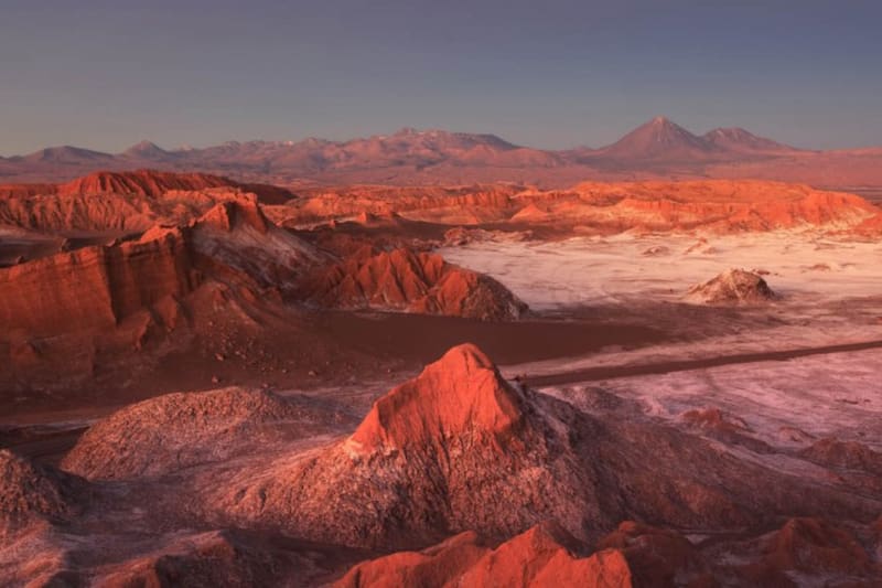 Booking.com presenta las nuevas proyecciones para este 2025.