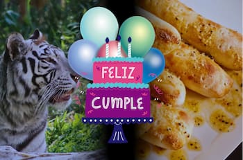 Comida, cine y zoológico: 6 lugares que te harán un espectacular regalo solo por estar de cumpleaños