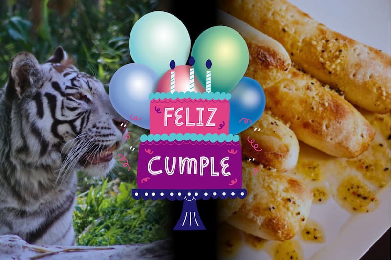 Ofertas que no te puedes perder. Créditos: Buin Zoo, Little Caesars.