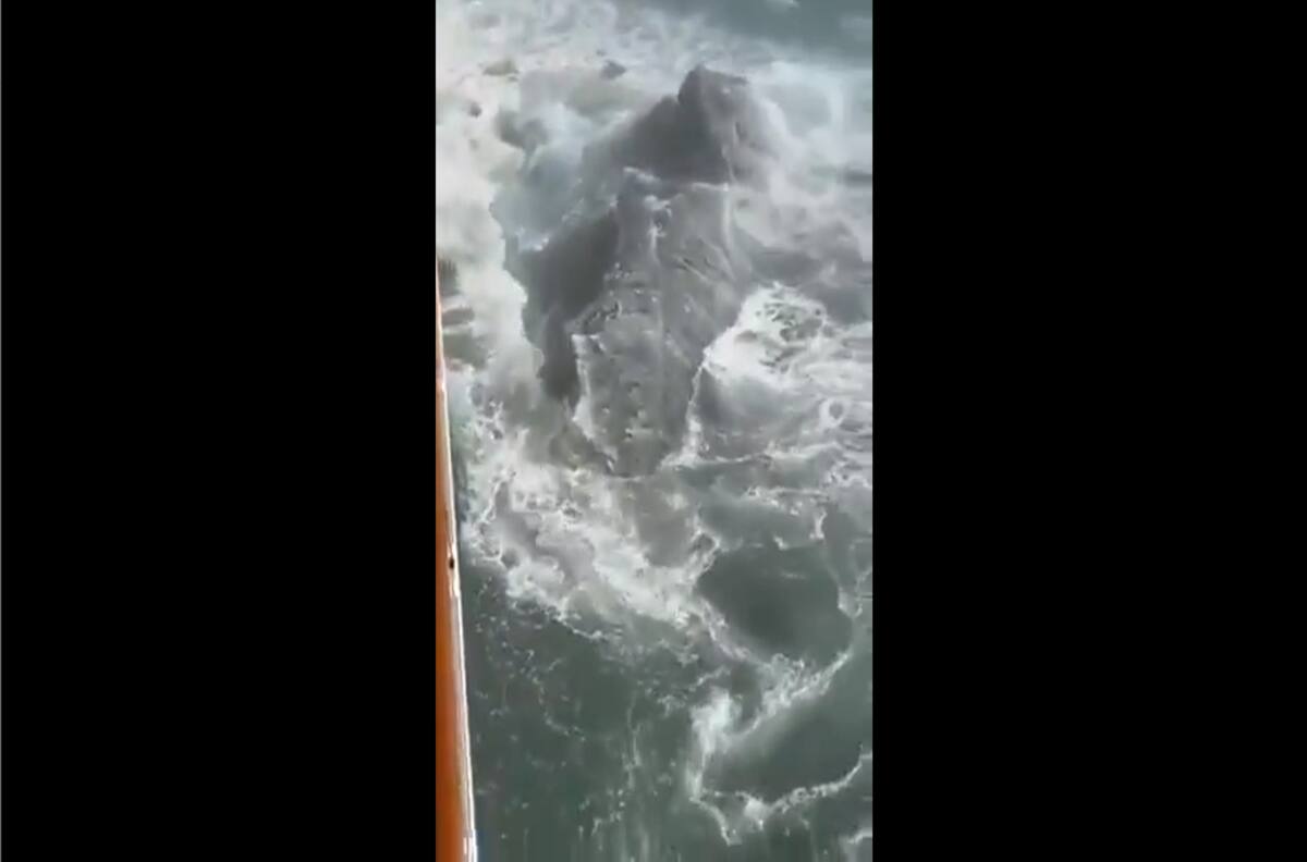 VIDEO | ¿Titanic 2.0?: El momento en que crucero choca contra un iceberg en Alaska, Estados Unidos