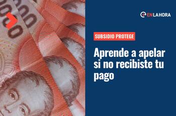 Subsidio Protege: ¿Cómo apelar apelas a través del Buzón Ciudadano si no recibiste tu pago?