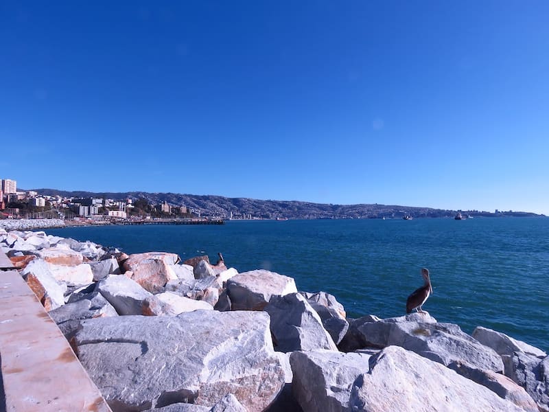 Así se ve gran parte de la bahía porteña desde este sector. Foto: Estación Chile.
