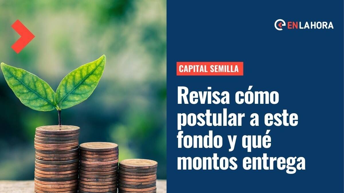 Capital Semilla comenzó sus convocatorias: ¿Cómo postular a esta iniciativa y qué montos entrega?