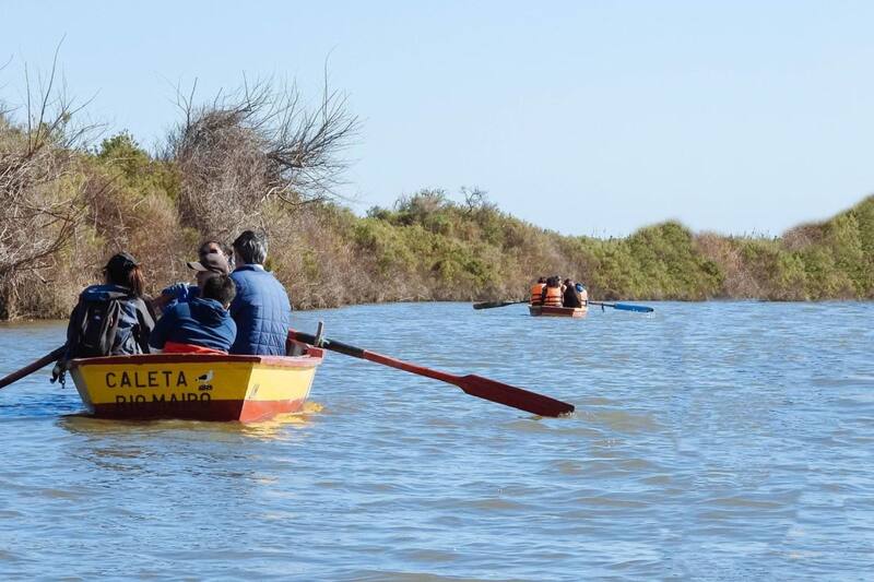 Estas actividades están distribuidas a lo largo del mes.
Créditos: @humedalriomaipo.