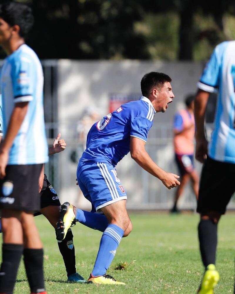 Es una de las figuras de la serie de Proyección de la Universidad de Chile.
@udechileformativo