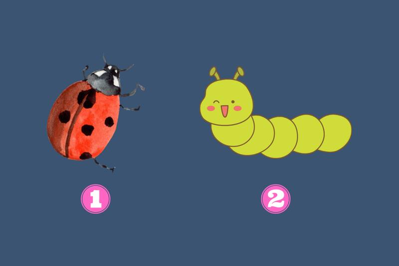 ¿Qué dice de ti el animal que prefieras hoy?