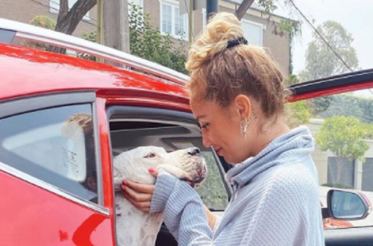 Dani Castro compartió su alegría con su perro "Volvió a ser mi Guapo, sus ojos volvieron a brillar"