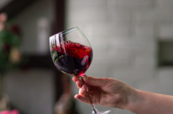 Feria del Vino en Parque Bustamante: Conoce todos los detalles para disfrutar de este evento