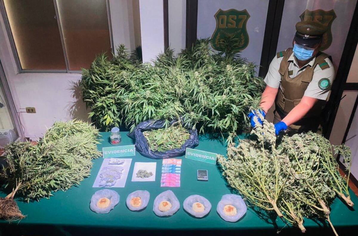 Emprendedor se hacía millonario vendiendo panes con marihuana en Temuco: quedó detenido