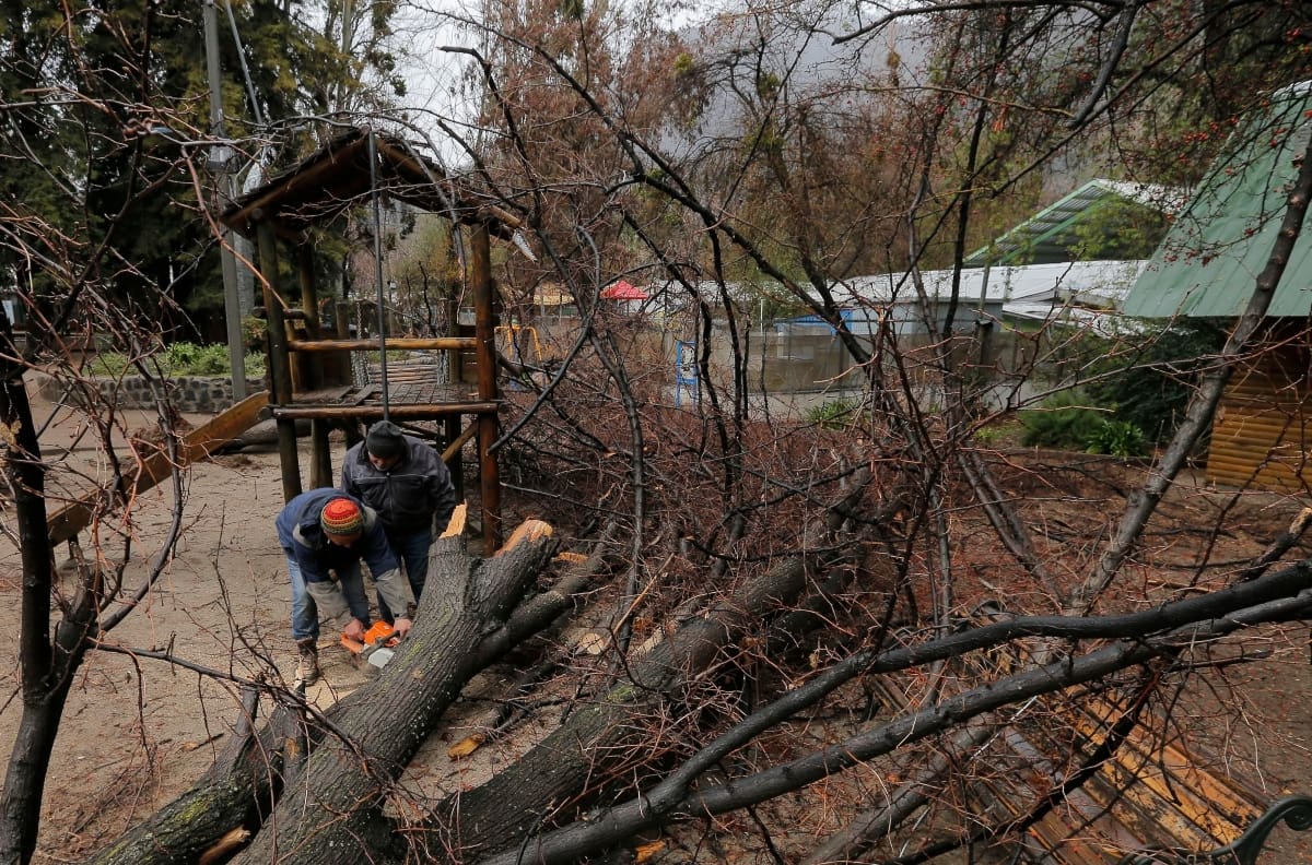 Intenso sistema frontal provocó caída de árboles e inundaciones a lo largo del país