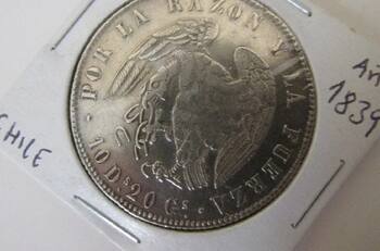 Numismática: La rara moneda chilena de casi 180 años que se vende en $2,8 millones