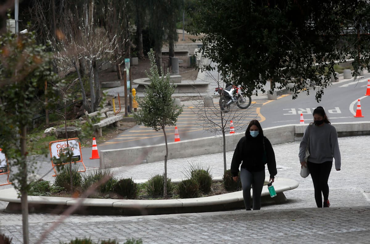 Bono Mujer Trabajadora: Revisa valores y consulta con tu rut