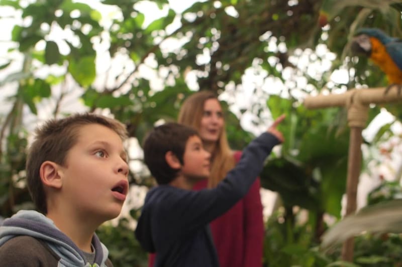 Presenta colección botánica con una de las plantas más traficadas hacia el exterior.