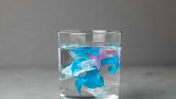 Este es el truco casero para eliminar los microplásticos del agua