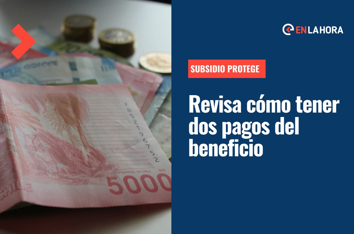 Subsidio Protege: ¿Cómo postular dos veces y cuándo se haría el pago de los $200.000 por tres meses?