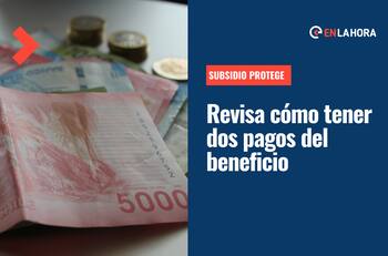 Subsidio Protege: ¿Cómo postular dos veces y cuándo se haría el pago de los $200.000 por tres meses?