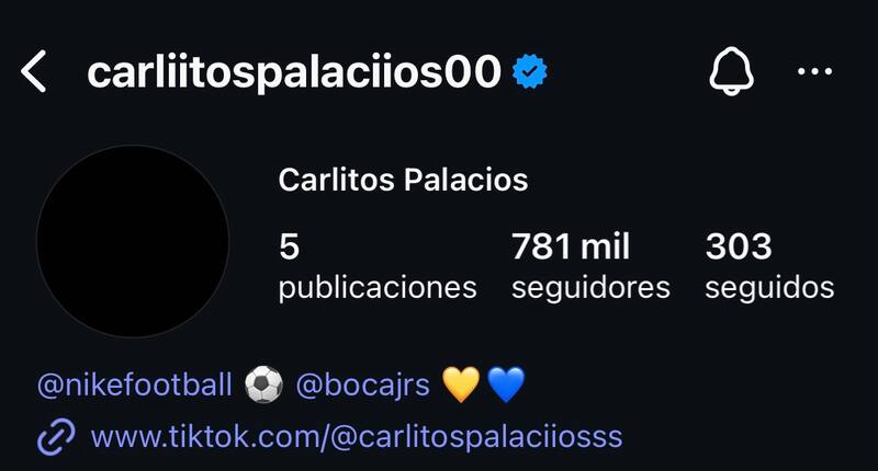 Quitó su foto y puso una imagen de luto en su Instagram. Foto: Instagram Palacios
