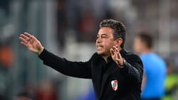Terremoto en River Plate: Marcelo Gallardo podría irse hoy tras nueva derrota
