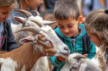Para todos los gustos: 7 imperdibles panoramas para hacer con niños, niñas y adolescentes en la Región Metropolitana y alrededores