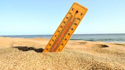 Ola de calor de más de 40 grados: Pronostican altas temperaturas durante febrero