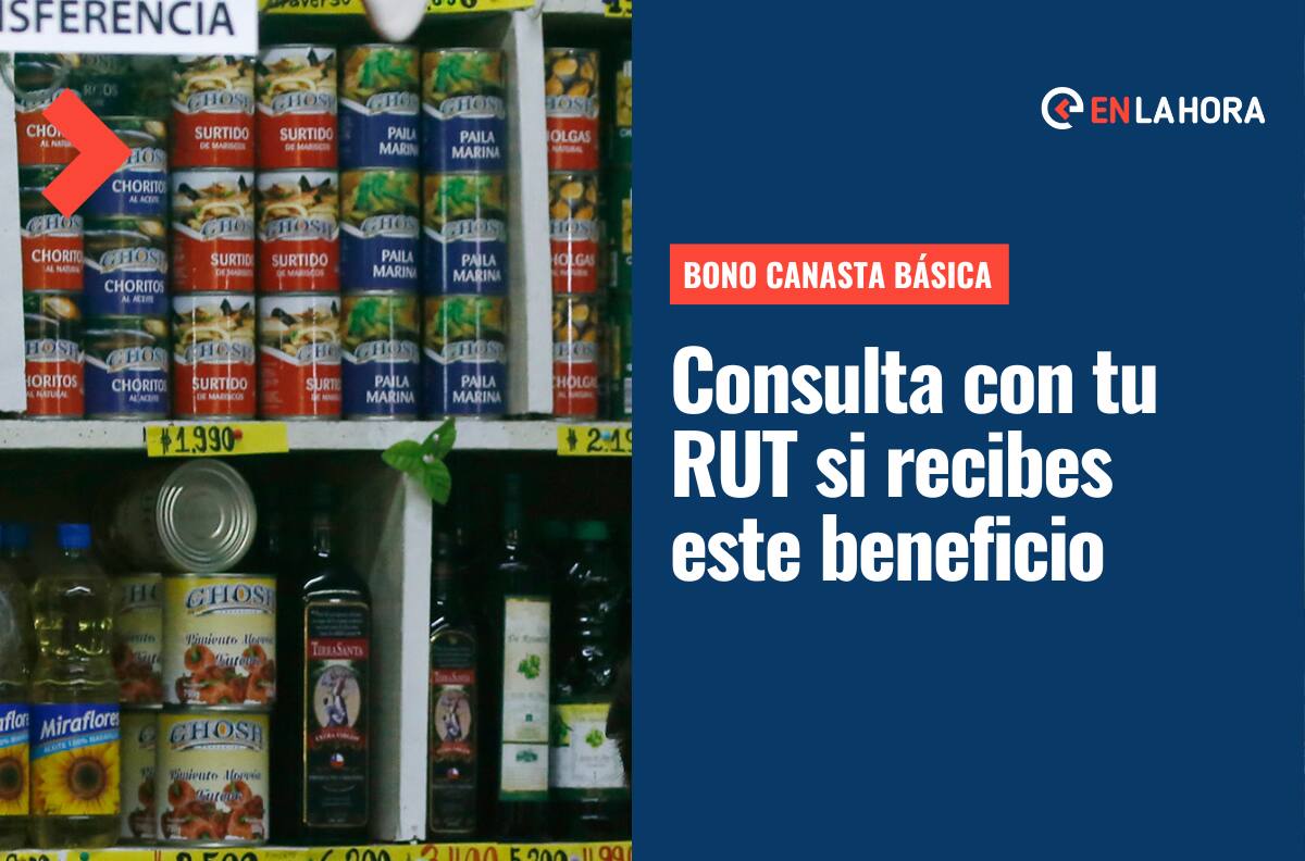 Bono Canasta Básica: Consulta con tu RUT si recibes este beneficio y cuáles son las fechas de pago