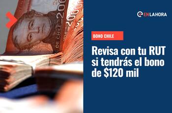 Bono Invierno: Revisa con tu RUT si tienes el pago de $120 mil o si debes apelar al aporte