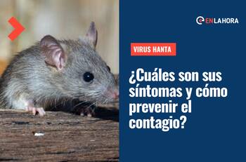 VIDEO | Virus Hanta: ¿Qué es, cuáles son sus síntomas y cómo prevenir el contagio?