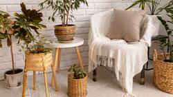 ¿Competirá con Casaideas?: Nueva tienda de decoración llega a la Región Metropolitana