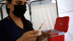 Científicos descubren que prevenir una próxima pandemia es 20 veces más barato que frenarla