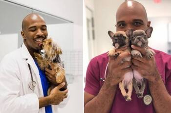 Veterinario es condenado a 21 años de cárcel tras abusar sexualmente de perros y poseer pornografía infantil