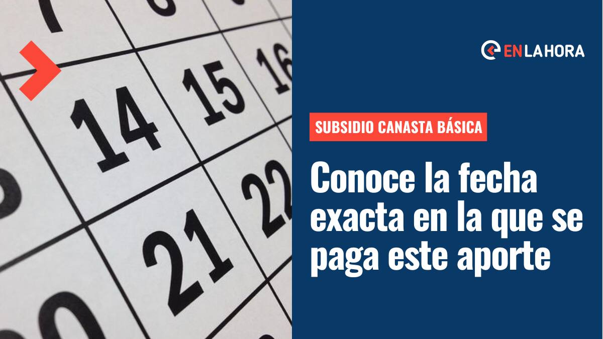Subsidio Canasta Básica: Conoce el calendario con las fechas exactas en que se pagará este beneficio mensual