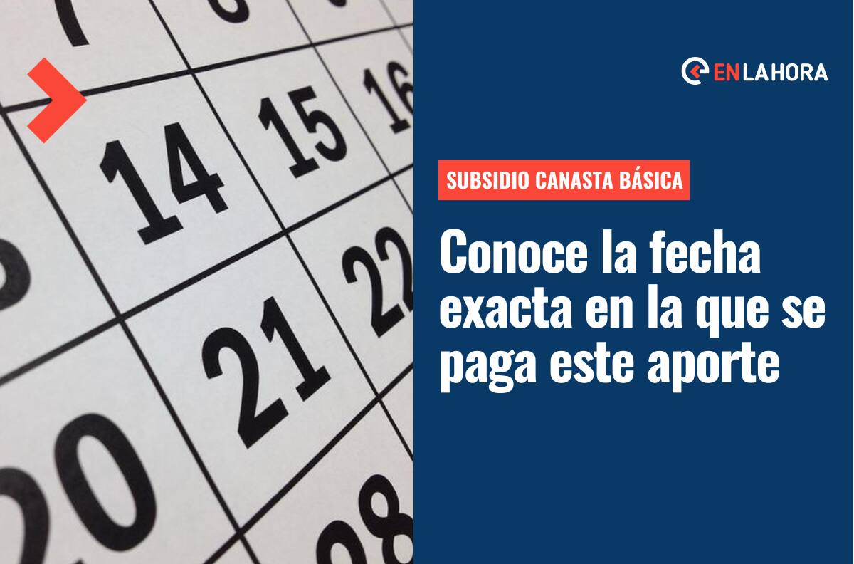 Subsidio Canasta Básica: Conoce el calendario con las fechas exactas en que se pagará este beneficio mensual