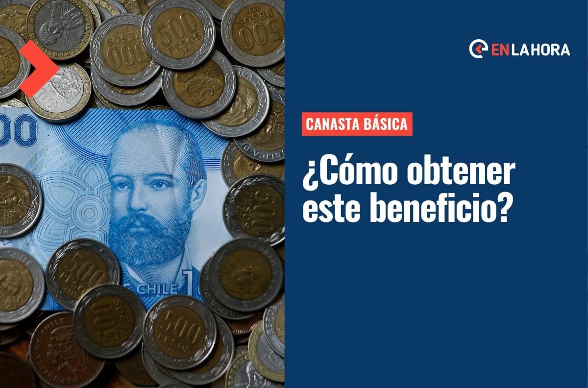 Canasta Básica: ¿Cuándo se votará este proyecto y cómo obtener este beneficio?